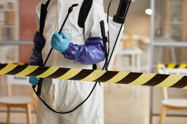 Professional Blood Cleanup technician working in Round Mountain, TX